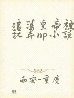 浪荡皇帝被多人玩弄np小说封面