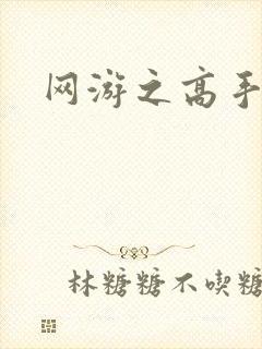 网游之高手寂寞封面