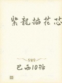 紫龙插花芯方正