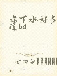 你下水好多下水道bd