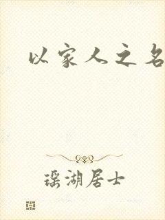 以家人之名小说