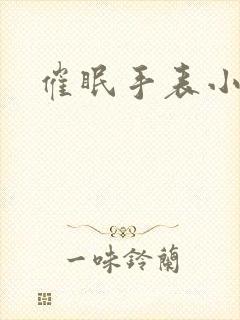 催眠手表小说封面