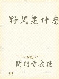 野周是什么意思封面