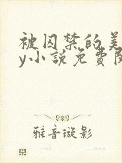 被囚禁的美人by小说免费阅读