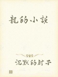 龙的小说
