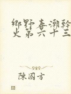 乡野春潮干柴烈火第六十三章
