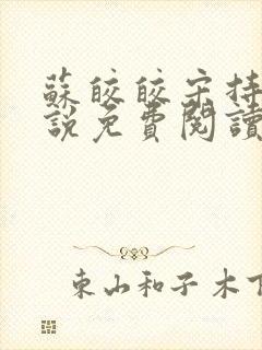 苏皎皎宋持的小说免费阅读封面