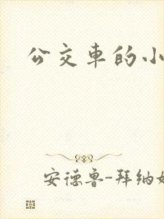 公交车的小说封面