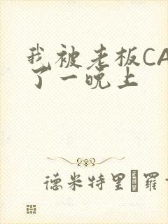 我被老板CAO了一晚上封面