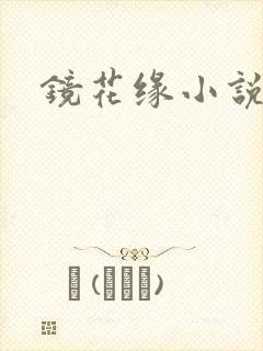 镜花缘小说