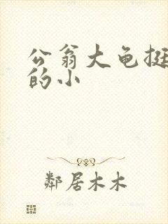 公翁大龟挺进我的小封面
