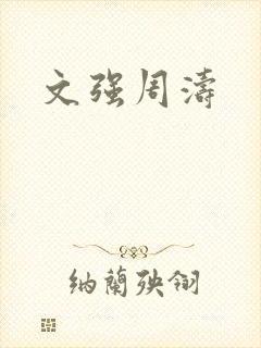 文强周涛