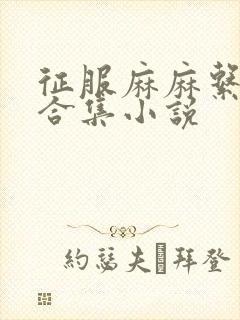 征服麻麻系列大合集小说