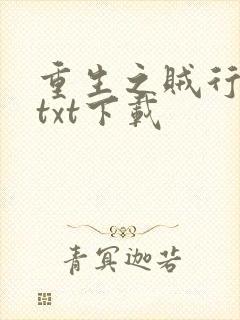 重生之贼行天下txt下载