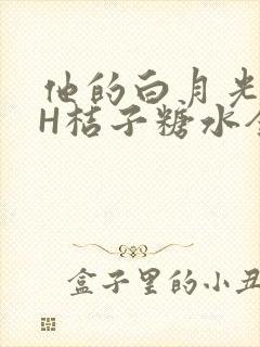他的白月光HVH桔子糖水全文