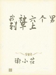 我被六个男人躁到早上封面