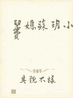 儿媳苏玥小说免费