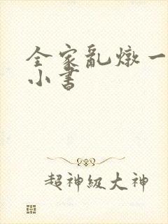 全家乱炖一锅烩小书