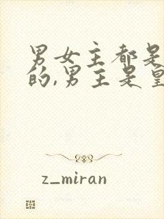 男女主都是穿越的,男主是皇上