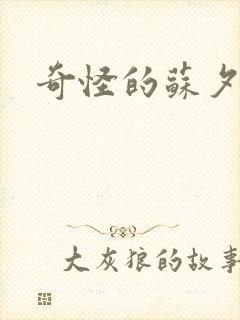 奇怪的苏夕封面