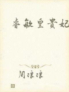 睿敏皇贵妃封面