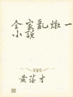 全家乱炖一锅烩小说