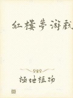 红楼梦游戏下载