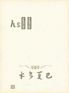 hsС˵封面