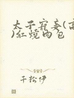 太子宠妾(高肉)红烧肉包