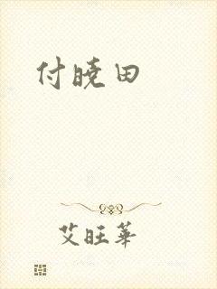 付晓田