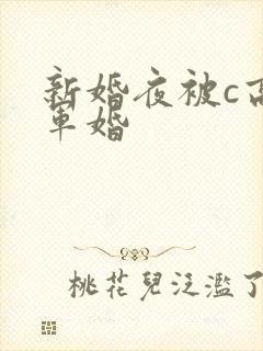 新婚夜被c高h军婚