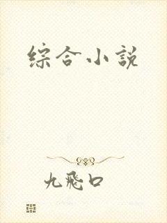 综合小说封面