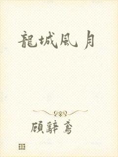 龙城风月封面