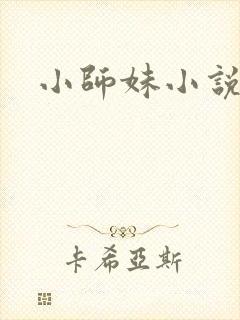 小师妹小说封面