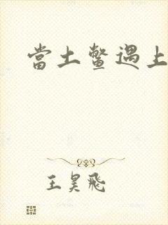 当土鳖遇上海龟