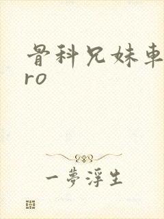 骨科兄妹车多pro封面