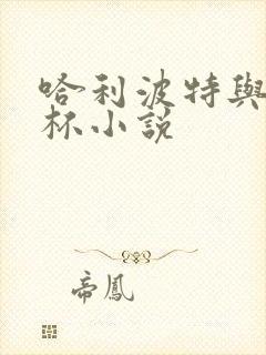 哈利波特与火焰杯小说