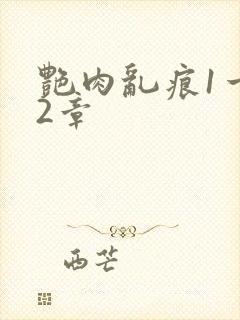 艳肉乱痕1一12章