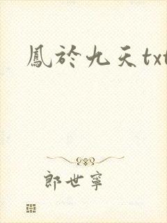 凤于九天txt