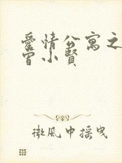 爱情公寓之极品曾小贤封面