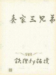秦家三兄弟封面