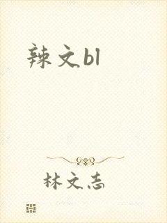 辣文bl封面