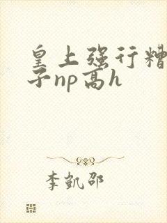 皇上强行糟蹋太子np高h封面