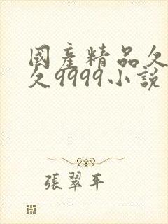 国产精品久久久久9999小说