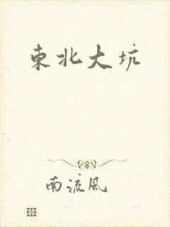 东北大坑封面