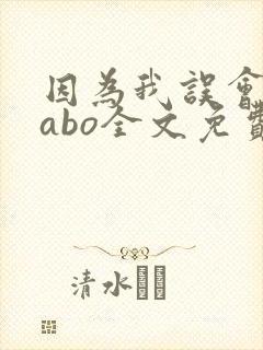 因为我误会glabo全文免费阅读