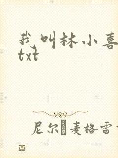 我叫林小喜小说txt