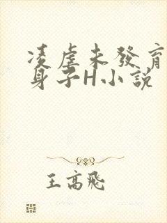 凌虐未发育的小身子H小说