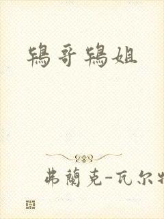 鸨哥鸨姐封面