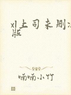 xl上司未删减版